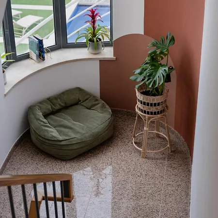 Surfinn Figueira Da Foz * 布阿尔库什