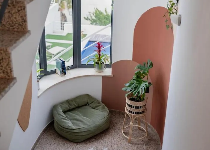 Surfinn Figueira Da Foz